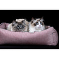 Bild in Galerie-Betrachter laden, Laboni ORTHO Hunde- und Katzenbett - GLAM ROSE