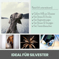 Bild in Galerie-Betrachter laden, Premium Hanfsamenöl Tropfen für Hunde