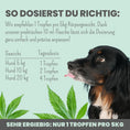 Bild in Galerie-Betrachter laden, Premium Hanfsamenöl Tropfen für Hunde