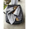 Bild in Galerie-Betrachter laden, Laboni ORTHO Hundebett - GLAM GRAPHITE