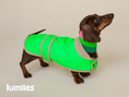 Bild in Galerie-Betrachter laden, THE GLOW RAINCOAT (Dog Raincoat) Dachshund & Poodle - Fit