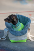 Bild in Galerie-Betrachter laden, THE CANVAS BAG - HUNDETRAGETASCHE FÜR KLEINE HUNDERASSEN