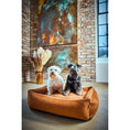 Bild in Galerie-Betrachter laden, Laboni CLASSIC Hundebett - BUFFALO CAMEL