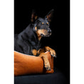 Bild in Galerie-Betrachter laden, Laboni CLASSIC Hundebett - BUFFALO CAMEL