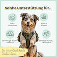 Bild in Galerie-Betrachter laden, Z-Komplex für Hunde – vegane Soft-Snacks für Wald & Wiese