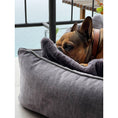 Bild in Galerie-Betrachter laden, Laboni ORTHO Hundebett - GLAM GRAPHITE