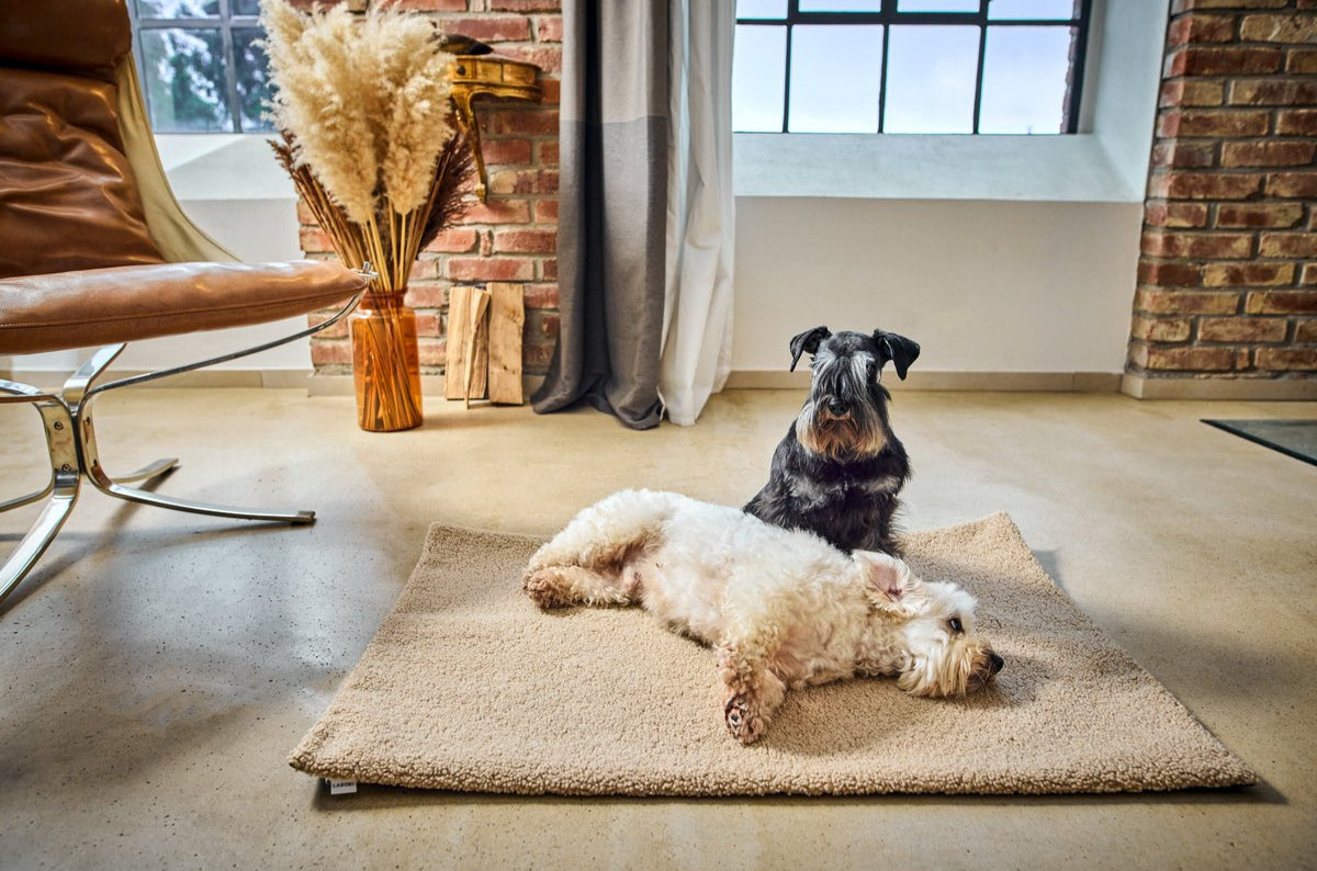 Decke TEDDY CREME