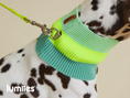 Bild in Galerie-Betrachter laden, THE GLOW LOOP von LUMIIES® - NEON HUNDESCHAL