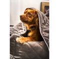 Bild in Galerie-Betrachter laden, Laboni CLASSIC Hundebett - OXFORD STONE