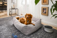 Bild in Galerie-Betrachter laden, Laboni CLASSIC Hundebett - TUDOR Grey