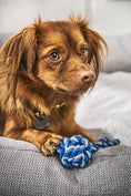 Bild in Galerie-Betrachter laden, Laboni CLASSIC Hundebett - TUDOR Grey