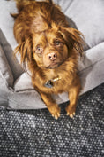 Bild in Galerie-Betrachter laden, Laboni CLASSIC Hundebett - TUDOR Grey