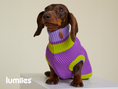 Bild in Galerie-Betrachter laden, THE GLOW JUMPER von LUMIIES® - HOCHELASTISCHER NEON HUNDEPULLOVER