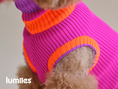 Bild in Galerie-Betrachter laden, THE GLOW JUMPER von LUMIIES® - HOCHELASTISCHER NEON HUNDEPULLOVER