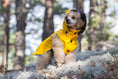 Bild in Galerie-Betrachter laden, Rukka - Stream Raincoat - Regenmantel