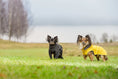 Bild in Galerie-Betrachter laden, Rukka - Stream Raincoat - Regenmantel