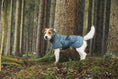 Bild in Galerie-Betrachter laden, Rukka - Stormy Coat - Hundejacke