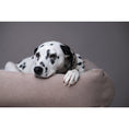 Bild in Galerie-Betrachter laden, LABONI CLASSIC Hundebett - BUFFALO CREME