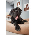 Bild in Galerie-Betrachter laden, Laboni ORTHO Hundebett - GLAM SAND