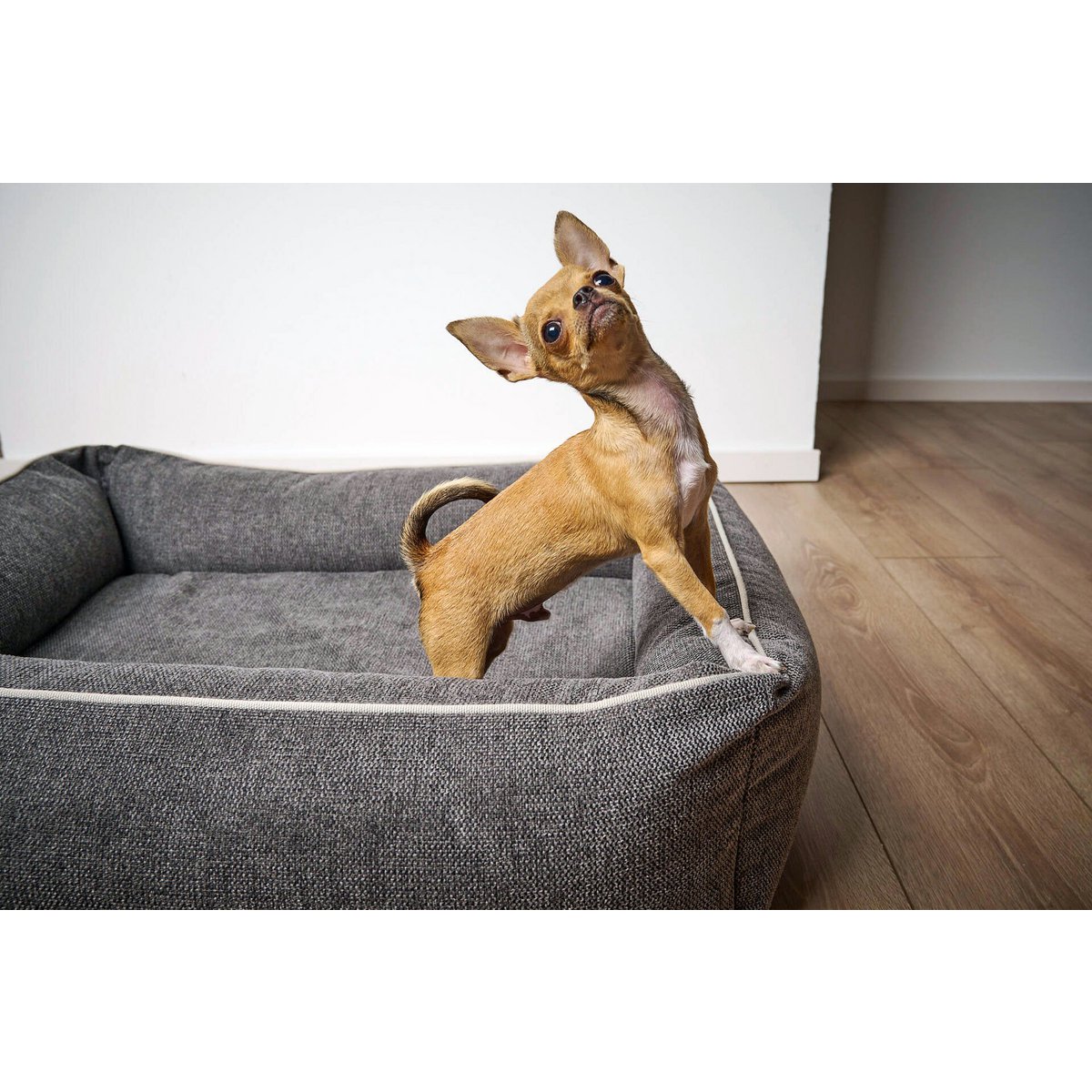 Laboni CLASSIC Hundebett