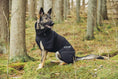 Bild in Galerie-Betrachter laden, Rukka - Windy Thermal Jacket - Thermo Hundejacke