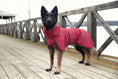 Bild in Galerie-Betrachter laden, Rukka - Windy Thermal Jacket - Thermo Hundejacke