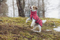 Bild in Galerie-Betrachter laden, Rukka - Windy Thermal Jacket - Thermo Hundejacke