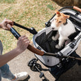 Bild in Galerie-Betrachter laden, Flytta Plus – Abnehmbarer Haustier Buggy (bis zu 20 kg)