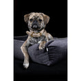 Bild in Galerie-Betrachter laden, Laboni ORTHO Hundebett - GLAM GRAPHITE