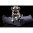 Bild in Galerie-Betrachter laden, Laboni ORTHO Hundebett - GLAM GRAPHITE