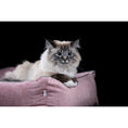 Bild in Galerie-Betrachter laden, Laboni ORTHO Hunde- und Katzenbett - GLAM ROSE