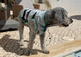 Bild in Galerie-Betrachter laden, DRY® COOLING VEST HUND