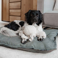 Bild in Galerie-Betrachter laden, CLASSIC Hundekissen
