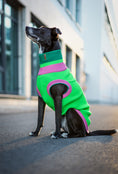 Bild in Galerie-Betrachter laden, THE GLOW JUMPER von LUMIIES® - HOCHELASTISCHER NEON HUNDEPULLOVER