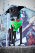 Bild in Galerie-Betrachter laden, THE GLOW JUMPER von LUMIIES® - HOCHELASTISCHER NEON HUNDEPULLOVER