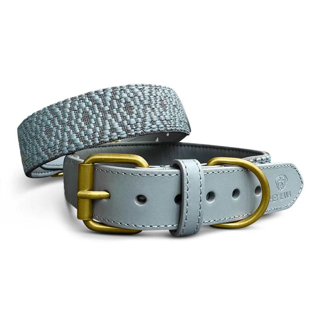 Premium Hundehalsband Gepolstert - Anthrazit/Eisblau