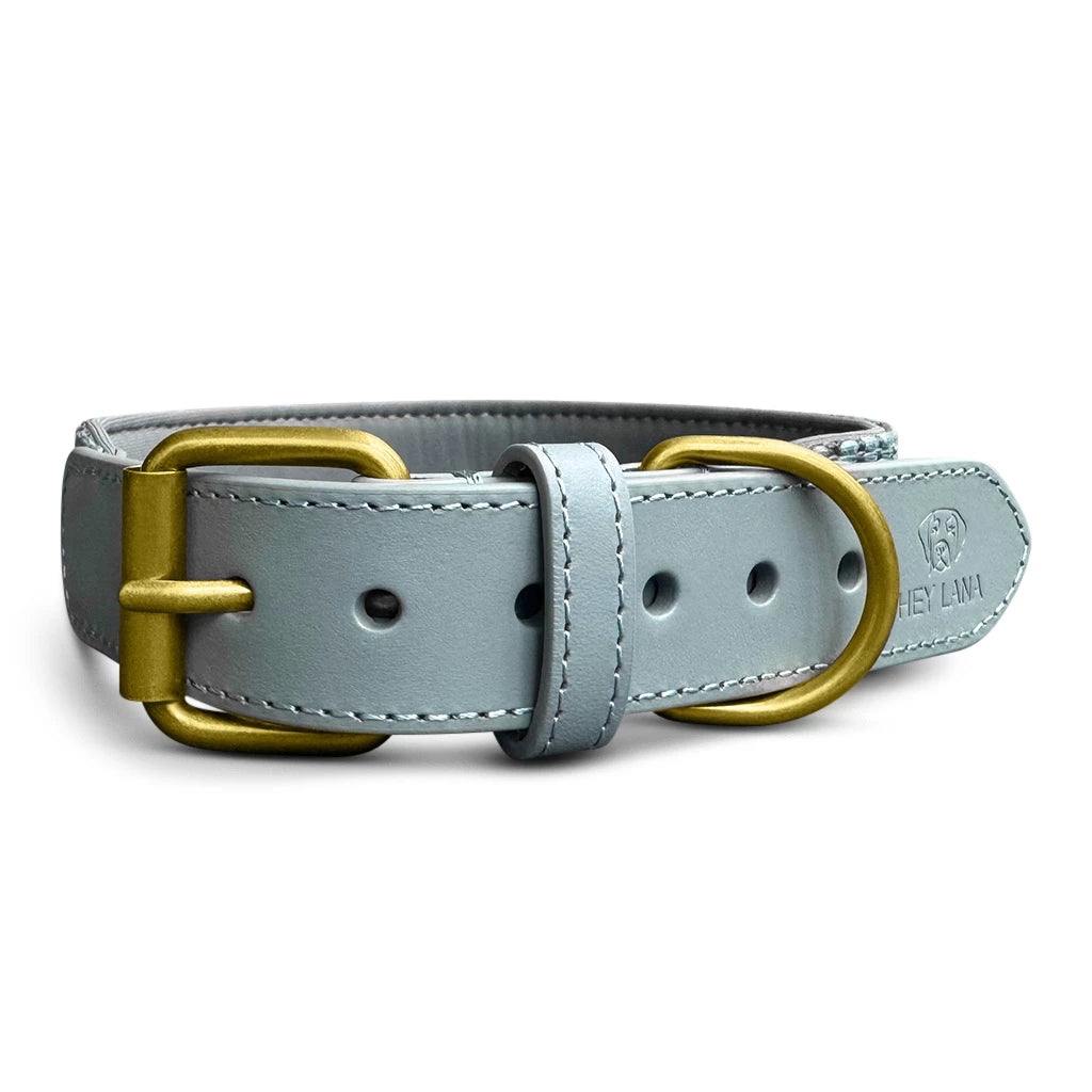 Premium Hundehalsband Gepolstert - Anthrazit/Eisblau