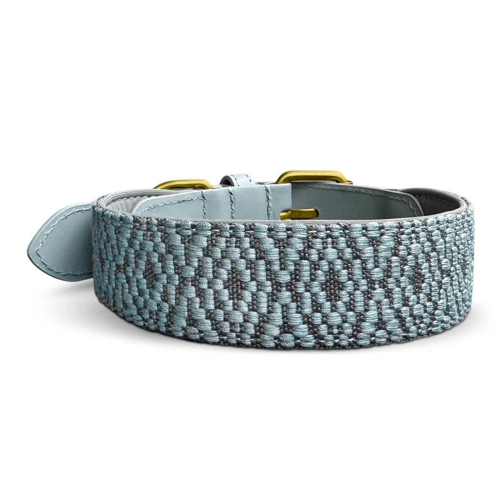 Premium Hundehalsband Gepolstert - Anthrazit/Eisblau