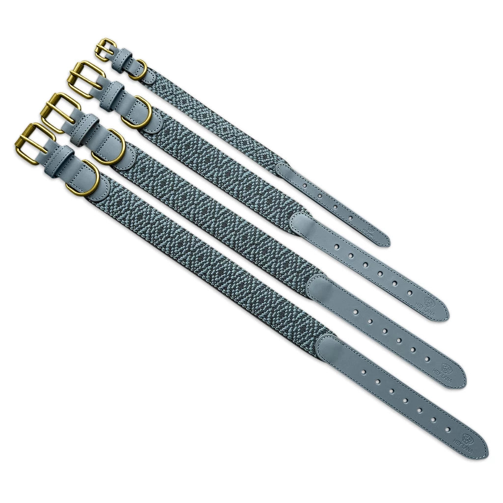 Premium Hundehalsband Gepolstert - Anthrazit/Eisblau