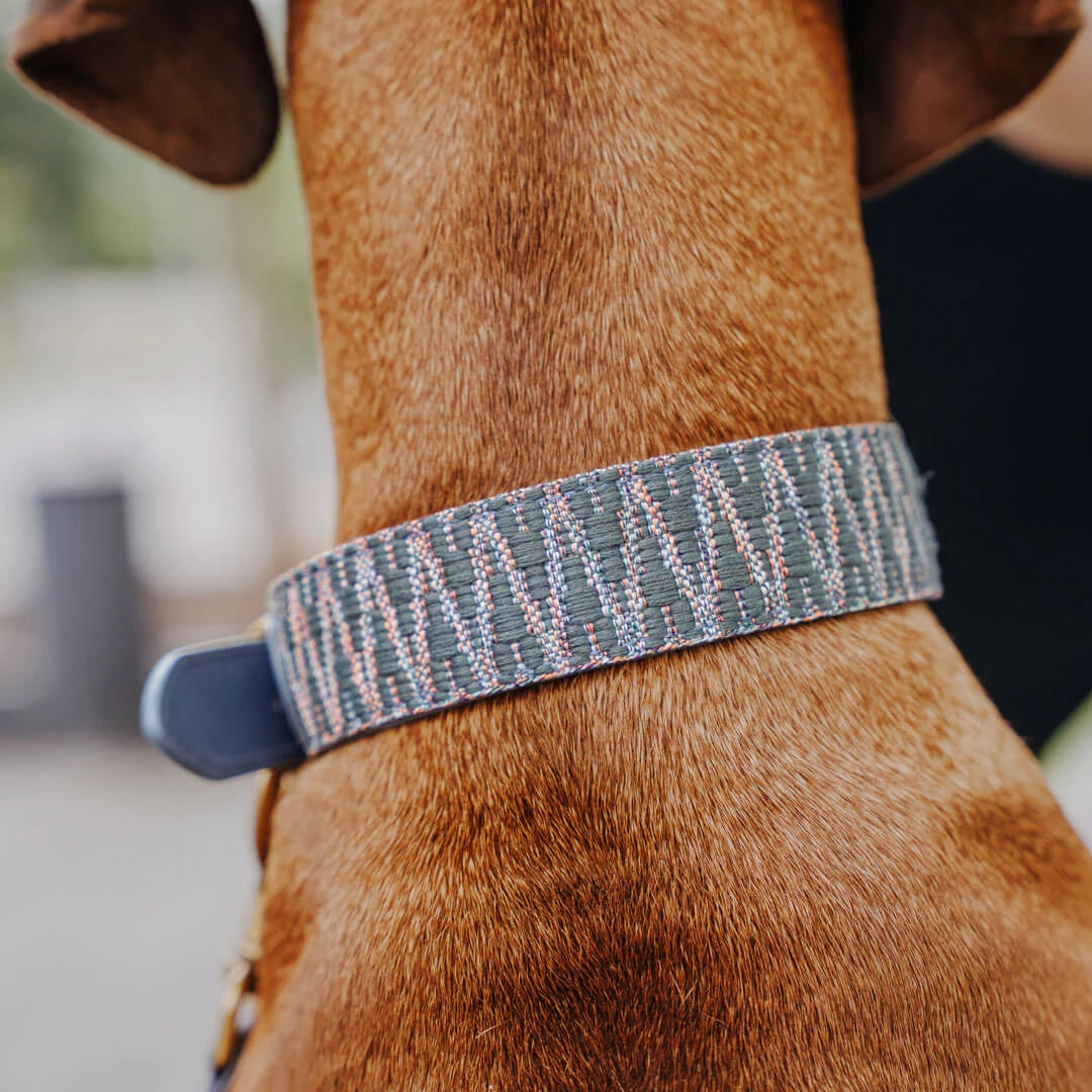 Premium Hundehalsband Gepolstert - Blau/Grau
