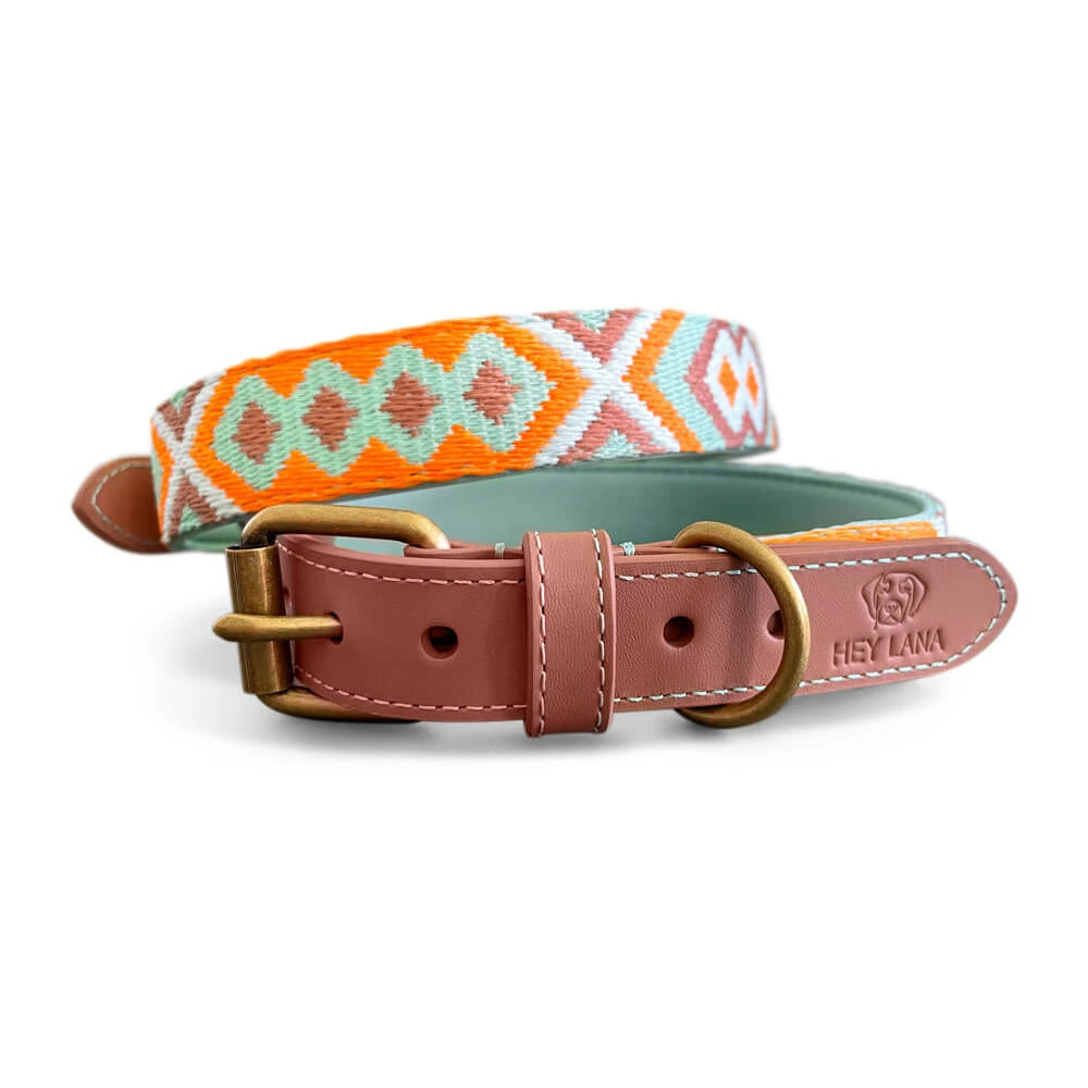 Premium Hundehalsband Gepolstert - Mint/Orange