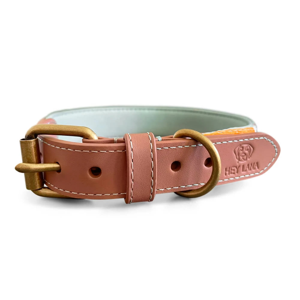 Premium Hundehalsband Gepolstert - Mint/Orange