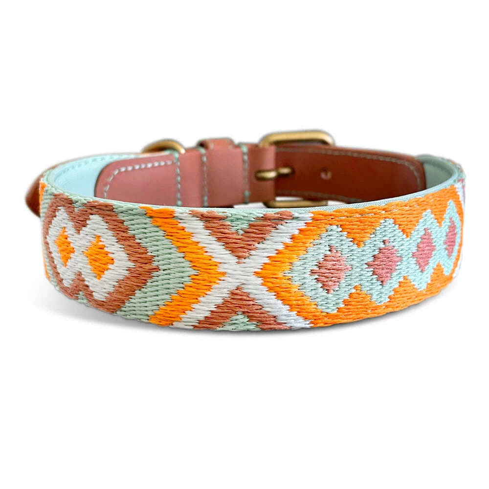 Premium Hundehalsband Gepolstert - Mint/Orange