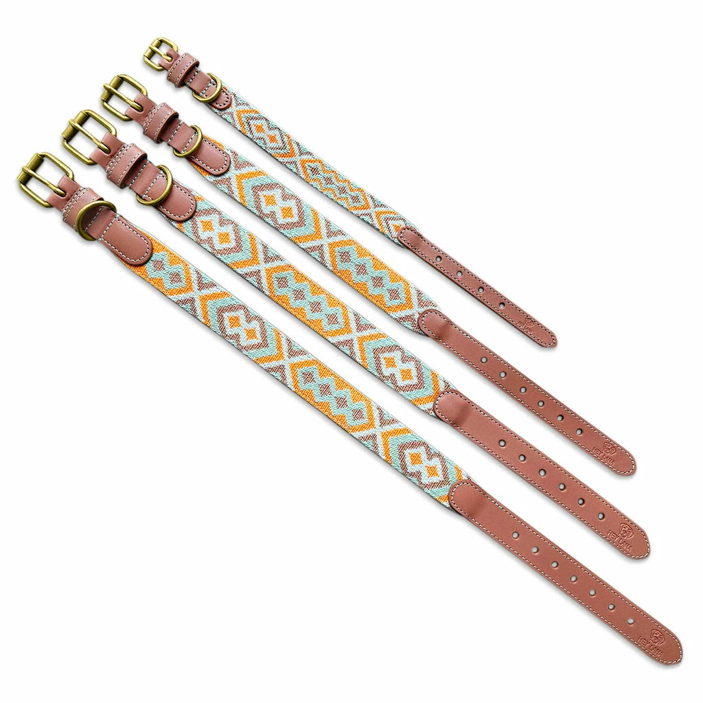 Premium Hundehalsband Gepolstert - Mint/Orange