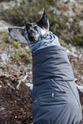 Bild in Galerie-Betrachter laden, Hurtta Extreme Overall – warmer Hundeoverall für Winter & Kälte
