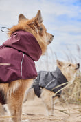 Bild in Galerie-Betrachter laden, Hurtta Regenmantel Mudventure Coat ECO