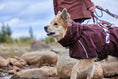 Bild in Galerie-Betrachter laden, Hurtta Regenmantel Mudventure Coat ECO