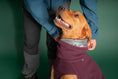 Bild in Galerie-Betrachter laden, Hurtta Warming Midlayer ECO – wärmende Hundejacke