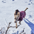 Bild in Galerie-Betrachter laden, Hurtta Winterjacke Extreme Warmer III