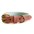 Bild in Galerie-Betrachter laden, Kollektion Très chic - Set Hundehalsband und Leine - Mint/Orange